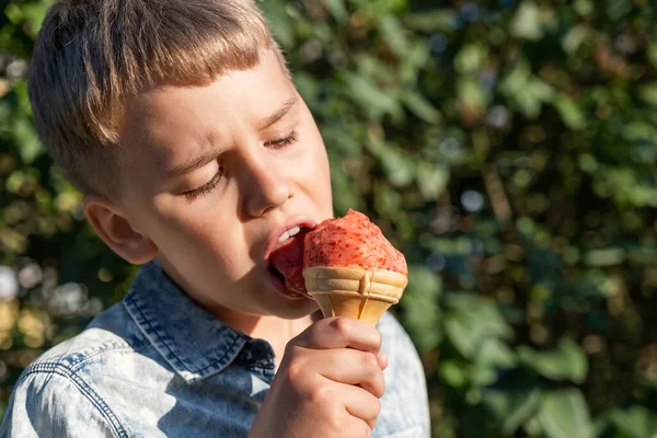 Blondyn chłopiec jedzący lody truskawkowe w parku w ciepły słoneczny letni dzień. — Zdjęcie stockowe