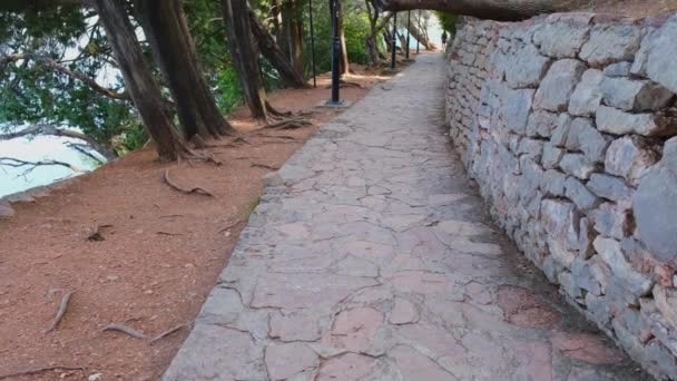 Beau Sentier Pédestre Parmi Les Pins Long Côte Monténégrine Route — Video