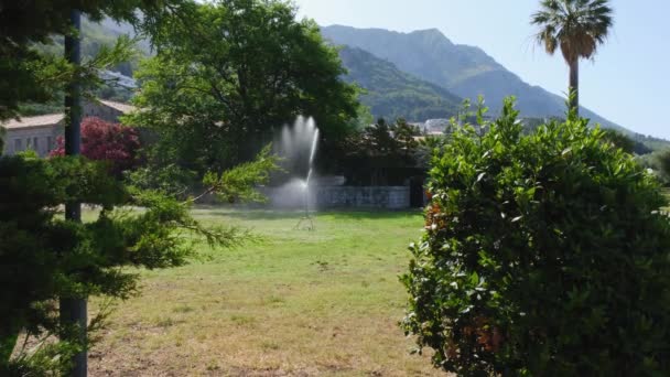 Sprinkler Head Watering Green Grass Lawn Summer City Park Mountains — Stockvideo