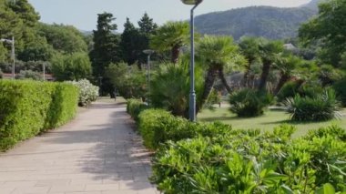 Beautiful well-groomed green park on the Montenegrin coast near the island of Sveti Stefan. A well-known tourist place near the city of Budva. Travel concept, 4K