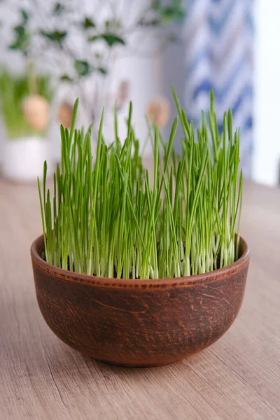 Home easter decor. Green oats, decorative rabbits and eggs on table near white brick wall