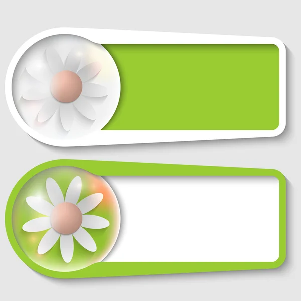 Set of two boxes for any text with flower — Stock Vector