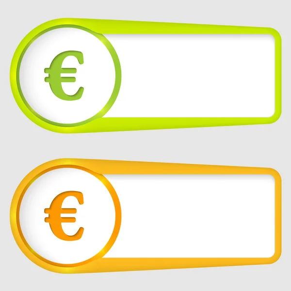 Conjunto de dos casillas para introducir texto con signo euro — Vector de stock