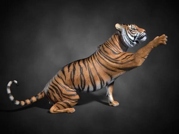 Filhote de tigre Modelo 3d