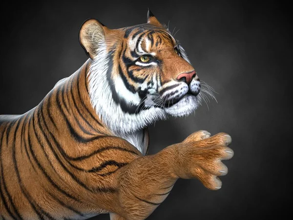 タイガーを閉じます 3Dイラスト — ストック写真