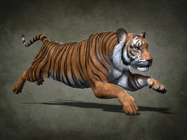 Gros Plan Sur Tigre Illustration — Photo