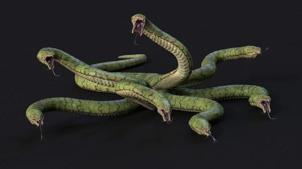 Siedmiogłowa Hydra Ilustracja — Zdjęcie stockowe