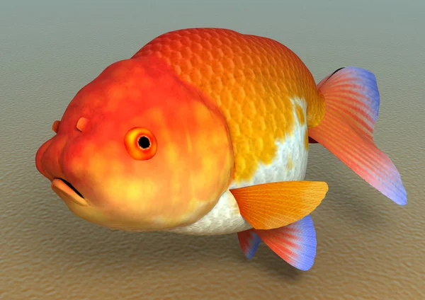 Fisch Rantyu Illustration — Stockfoto