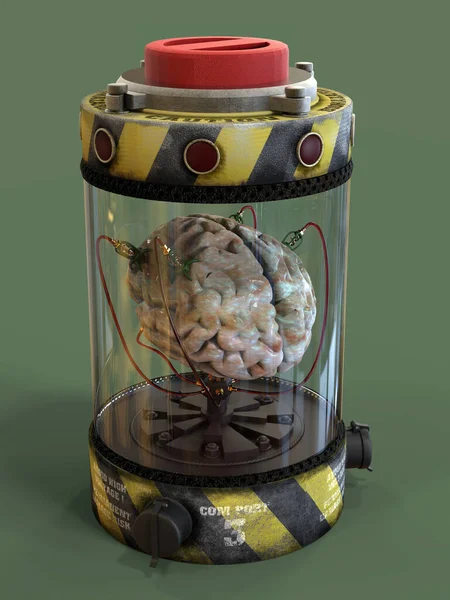 Hersenen Een Glazen Container — Stockfoto