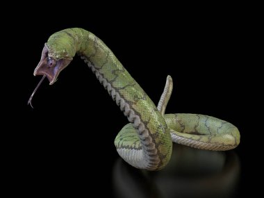 Açık bir ağız 3D resimli yılan...