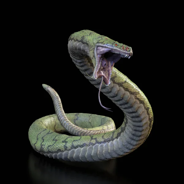 開いた口でヘビ 3Dイラスト — ストック写真
