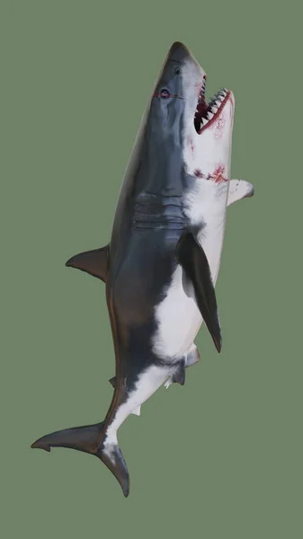 Кровожадная Акула Иллюстрация — стоковое фото