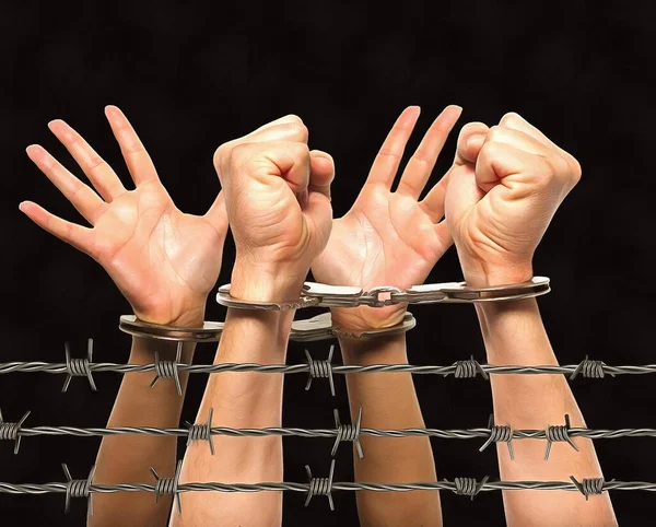 Hands Barbed Wire — Stock Photo, Image
