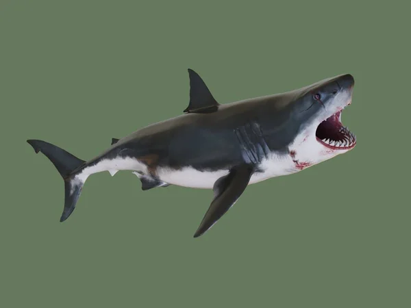 Shark Killer Illustration — Stock Photo, Image