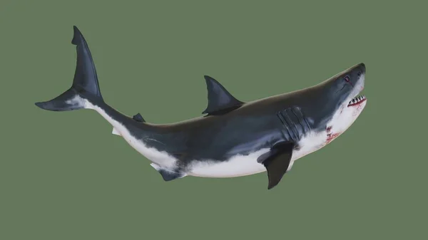 Tiburón Dentado Ilustración —  Fotos de Stock
