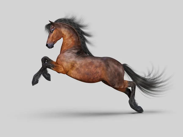 Bellissimo Cavallo Galoppante Illustrazione — Foto Stock