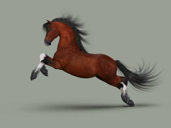 茶色の馬のギャロップ 3Dイラスト — ストック写真