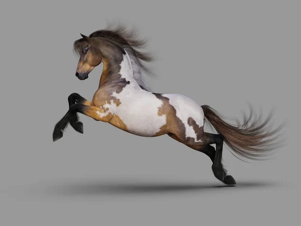 Krásný Cválající Mustang Ilustrace — Stock fotografie