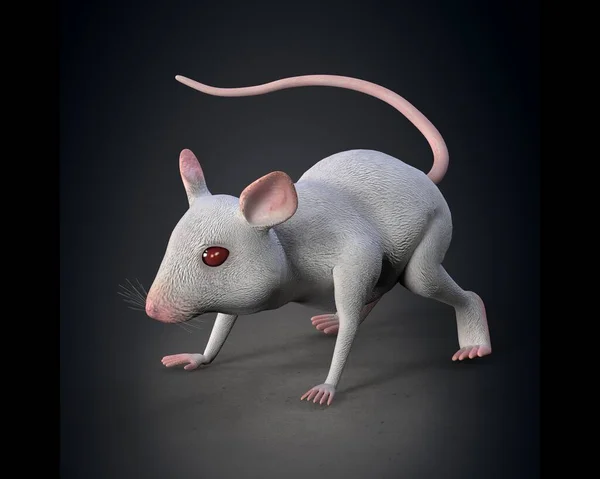 Weiße Maus Großen Plan Illustration — Stockfoto