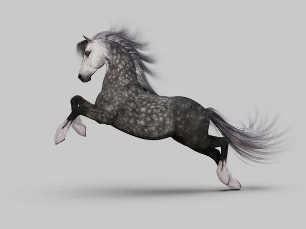 Cheval Gris Galopant Illustration — Photo