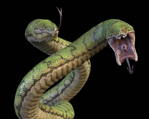 Duas Cobras Grandes Dentadas Renderização — Fotografia de Stock