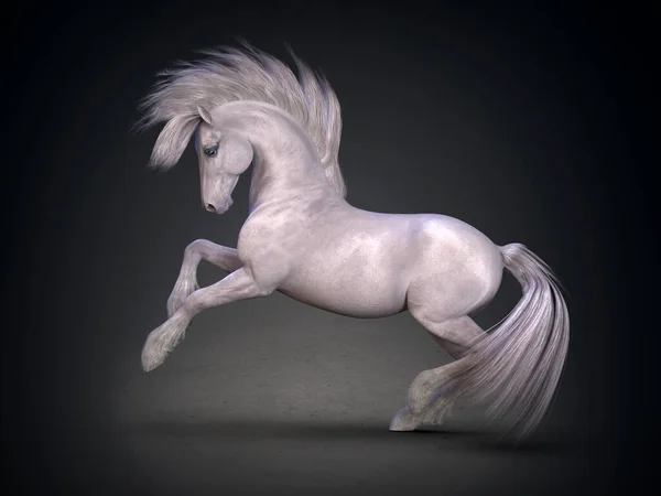 Beautiful White Horse Rendering — Stock Photo, Image