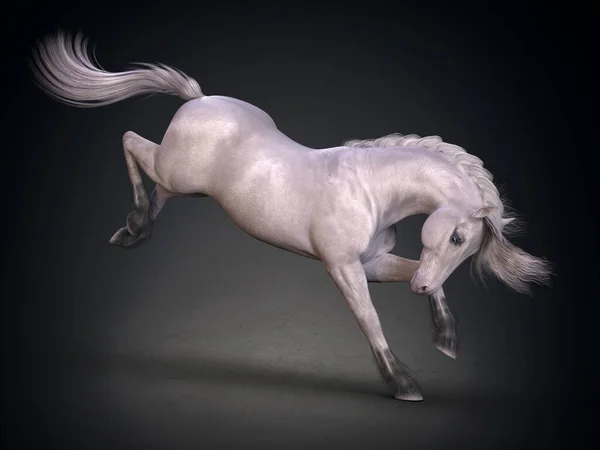 Belo Cavalo Branco Renderização — Fotografia de Stock