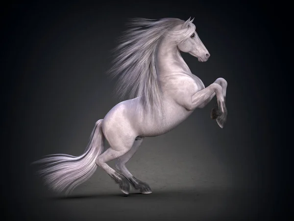 Hermoso Caballo Blanco Renderizado — Foto de Stock