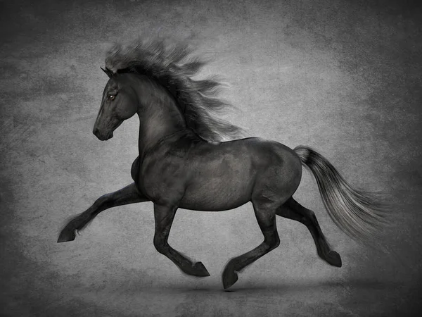 Krásný Černý Kůň Vykreslování — Stock fotografie