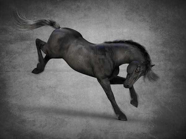 Beautiful Black Horse Rendering — Stock Photo, Image