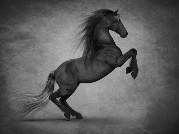 Прекрасний Чорний Кінь Візуалізація — стокове фото