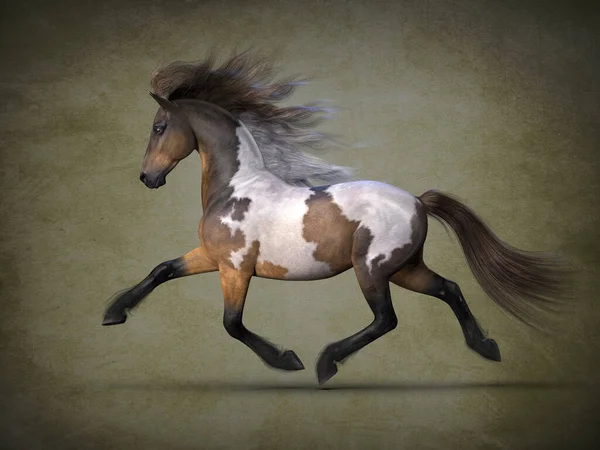 Belo Cavalo Manchado Visualização — Fotografia de Stock