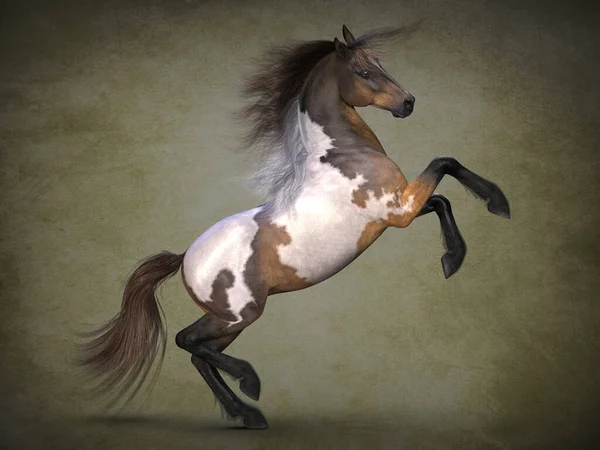 Прекрасний Плямистий Кінь Візуалізація — стокове фото