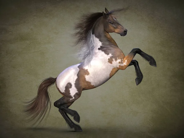 Beautiful Spotted Horse Visualization — Stock Photo, Image