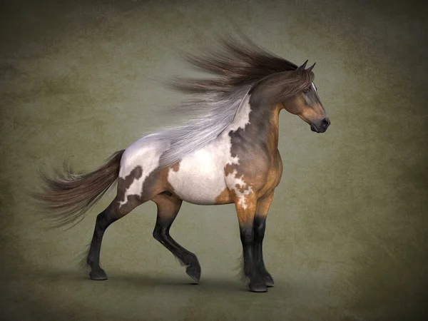 Beautiful Spotted Horse Visualization — Stock Photo, Image