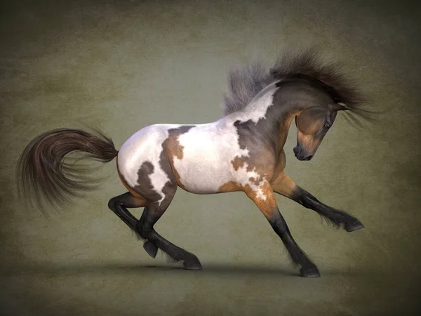 Piękny Koń Wizualizacja — Zdjęcie stockowe