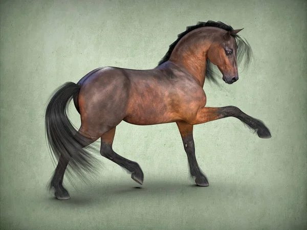 Beautiful Brown Horse Rendering — Stock Photo, Image