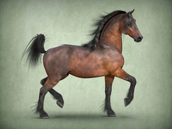 Beautiful Brown Horse Rendering — Stock Photo, Image