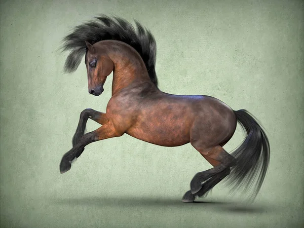 Beautiful Brown Horse Rendering — Stock Photo, Image