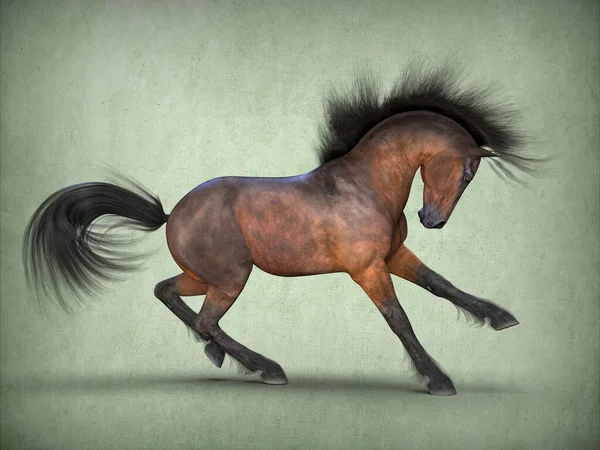 Beautiful Brown Horse Rendering — Stock Photo, Image