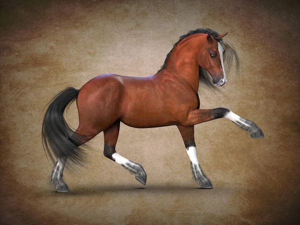 Krásný Hnědý Kůň Vizualizace — Stock fotografie