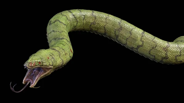 一条又大又爬行的毒蛇3D渲染 — 图库照片