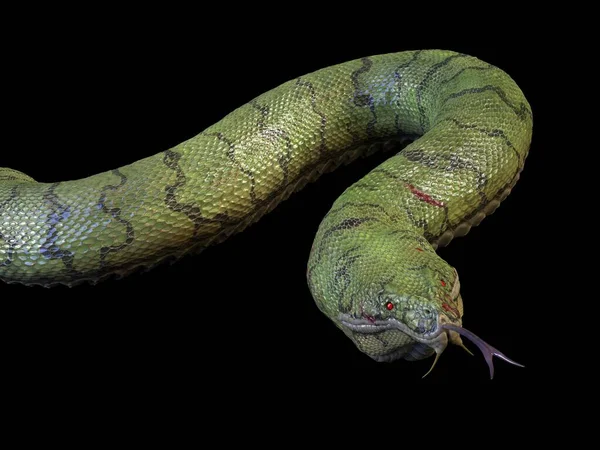 Large Crawling Snake Rendering — Stock Photo, Image