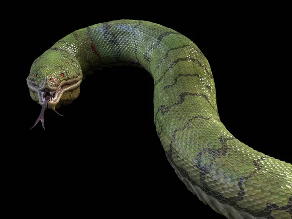 Large Toothy Green Snake Rendering — Stock Photo, Image