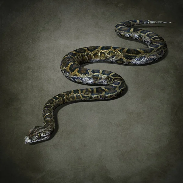 Big Toothy Python Illustration — Stock Photo, Image