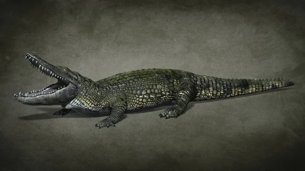 掠夺性的鳄鱼 3D说明 — 图库照片