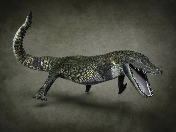 Ragadozó Fogú Krokodil Illusztráció — Stock Fotó