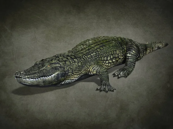 Räuberisches Zahmes Krokodil Illustration — Stockfoto