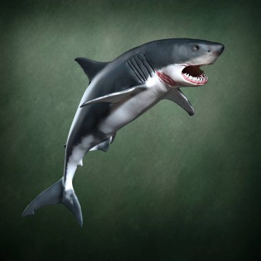 Dişli köpekbalığı. 3d illüstrasyon