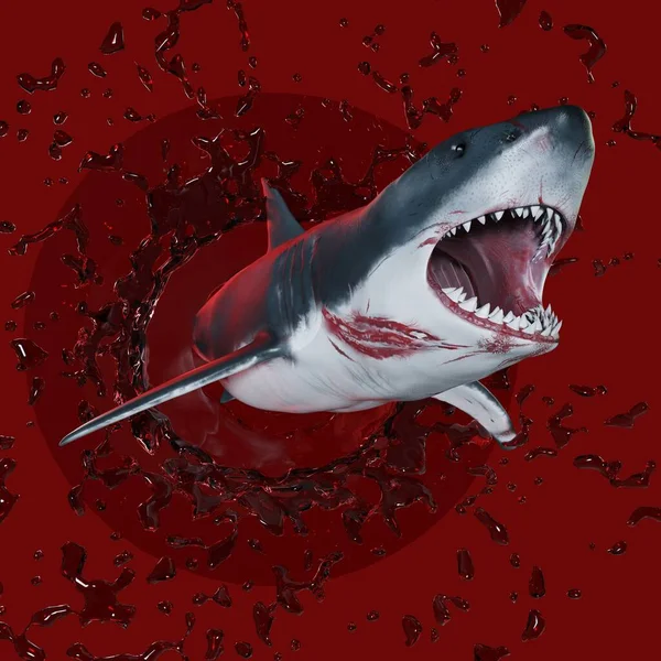 Жестокая Зубастая Акула Иллюстрация — стоковое фото